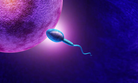 Can You Test for Male Infertility at Home?