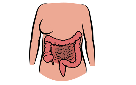 What Are the Signs of Bowel Problems? - Official Rapid Tests