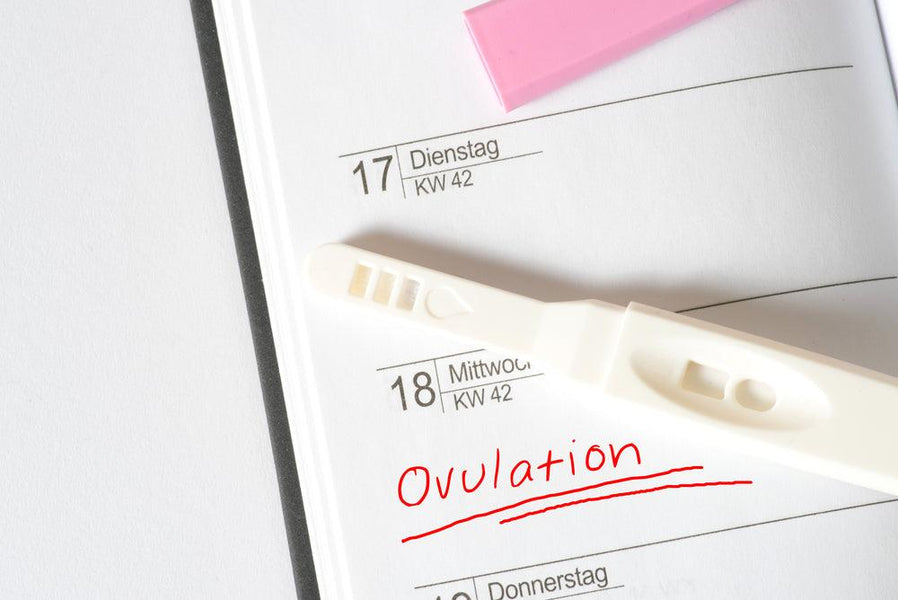 What Are Signs Your Not Ovulating?