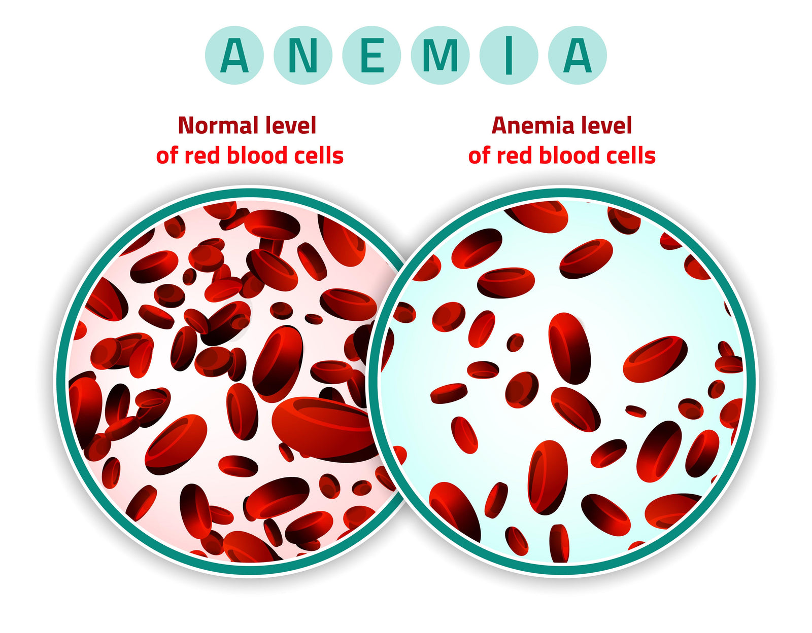 How Do I Know if I've Got Iron Deficiency? - Official Rapid Tests