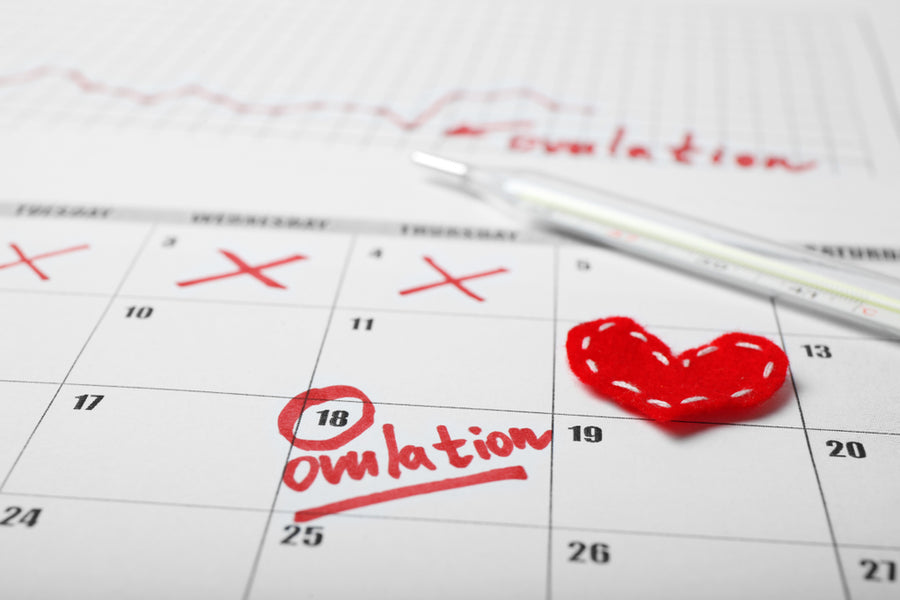 How Many Days After Period Should I Start Testing Ovulation?