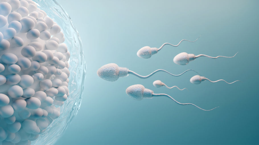 How Do I Know if I’m Fertile Enough to Get Pregnant?