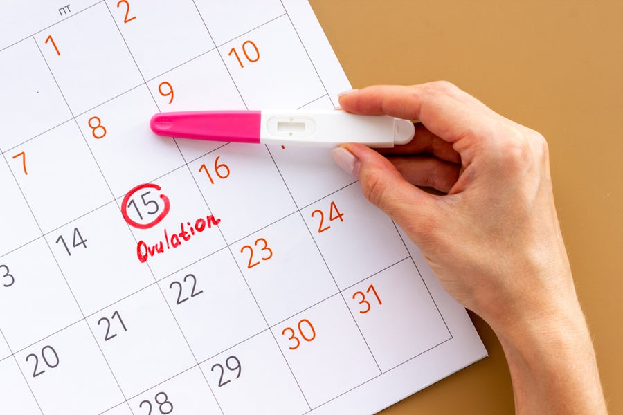 What Time Is Best for Ovulation Test?
