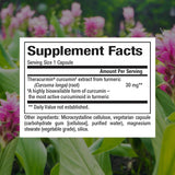Natural Factors CurcuminRich, Double Strength Theracurmin, 30 Vegetarian Capsules