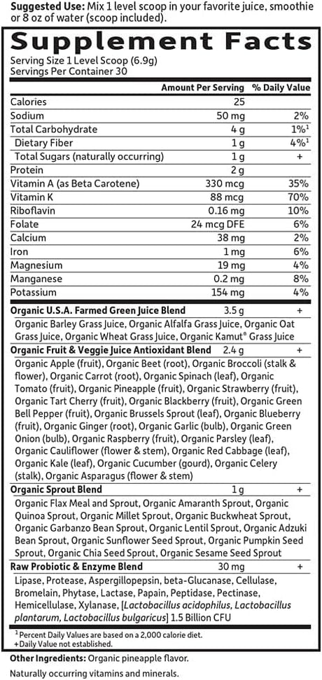 Garden of Life Raw Organic Perfect Food, Green Superfood Powder (Original - no stevia) 209g