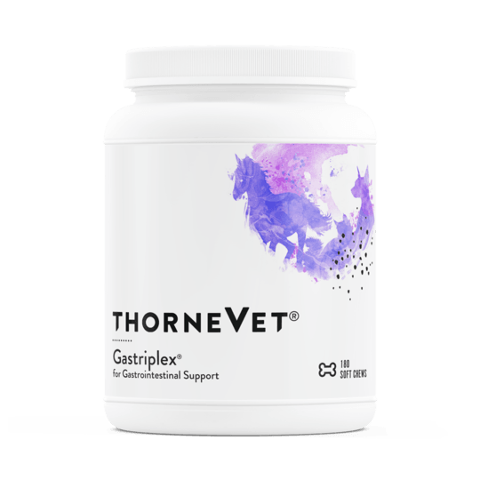 Gastriplex, Gastrointestinal Support, 180 Soft chews - Thorne - welzo
